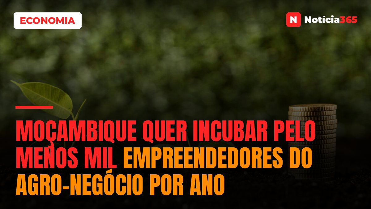 Moçambique Quer Incubar Pelo Menos Mil Empreendedores do Agro-negócio Por Ano