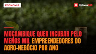 Moçambique Quer Incubar Pelo Menos Mil Empreendedores do Agro-negócio Por Ano