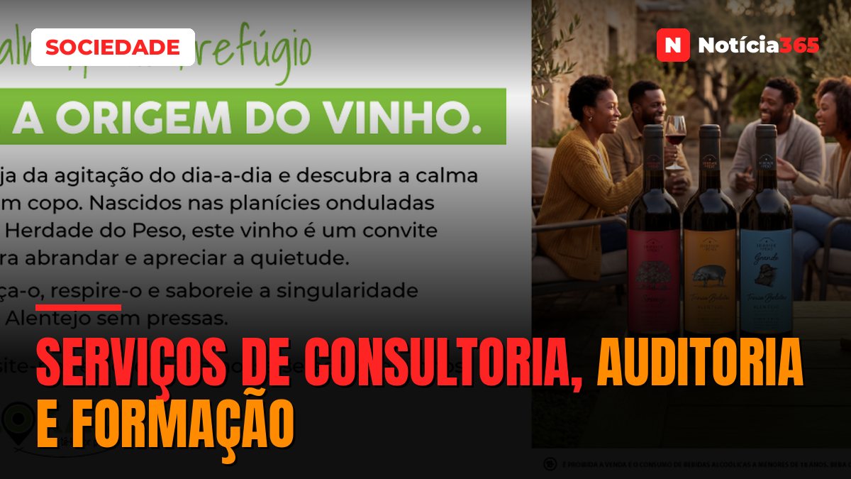 Serviços de Consultoria, Auditoria e Formação