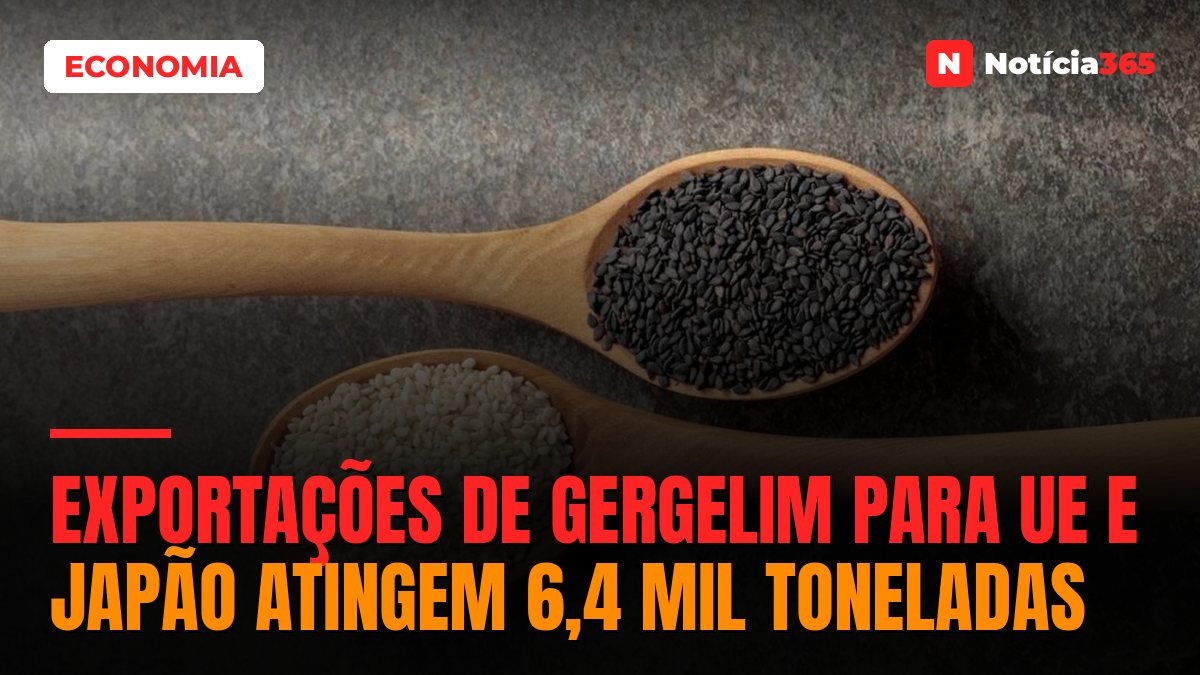 Exportações de Gergelim Para UE e Japão Atingem 6,4 Mil Toneladas