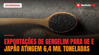 Exportações de Gergelim Para UE e Japão Atingem 6,4 Mil Toneladas