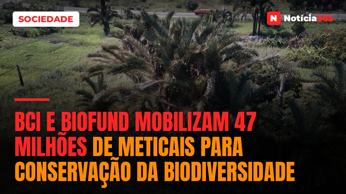 BCI e BIOFUND Mobilizam 47 Milhões de Meticais Para Conservação da Biodiversidade