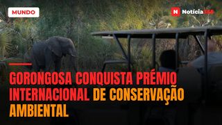 Gorongosa Conquista Prémio Internacional de Conservação Ambiental
