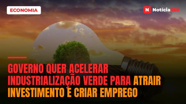 Governo Quer Acelerar Industrialização Verde Para Atrair Investimento e Criar Emprego
