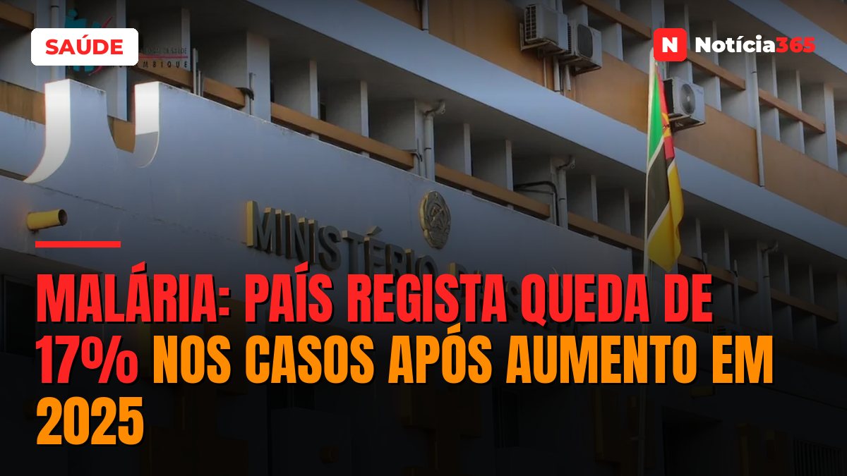 Malária: País Regista Queda de 17% Nos Casos Após Aumento em 2025