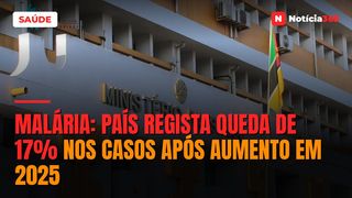 Malária: País Regista Queda de 17% Nos Casos Após Aumento em 2025