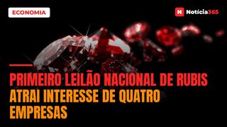 Primeiro Leilão Nacional de Rubis Atrai Interesse de Quatro Empresas