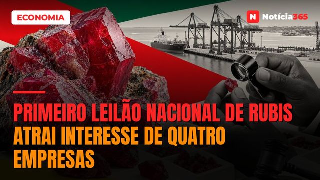 Primeiro Leilão Nacional de Rubis Atrai Interesse de Quatro Empresas