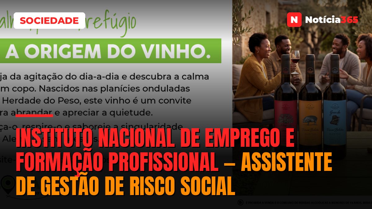 Instituto Nacional de Emprego e Formação Profissional — Assistente de Gestão de Risco Social