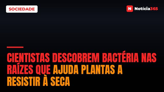 Cientistas Descobrem Bactéria Nas Raízes Que Ajuda Plantas a Resistir à Seca