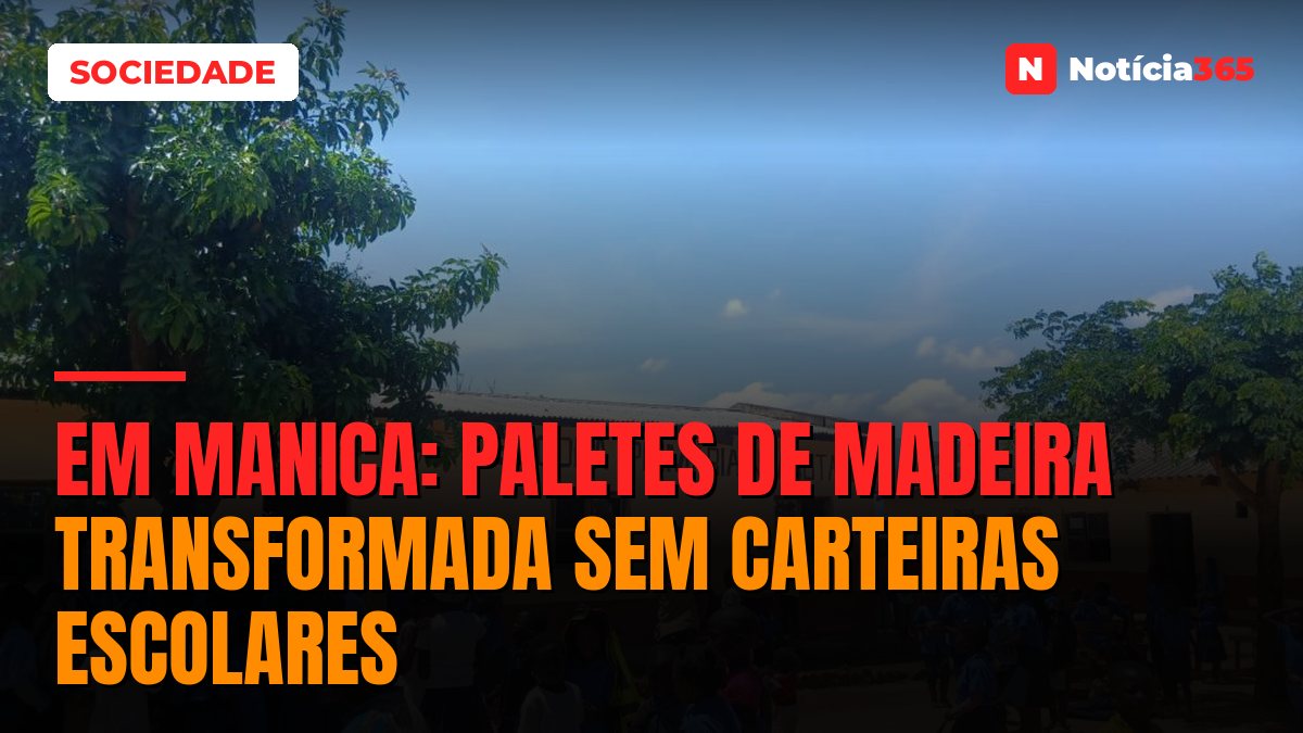 EM MANICA: Paletes de madeira transformada sem carteiras escolares