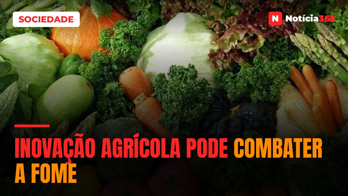 Inovação agrícola pode combater a fome