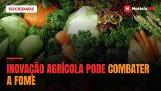Inovação agrícola pode combater a fome