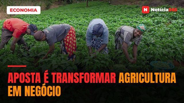 Aposta é transformar agricultura em negócio