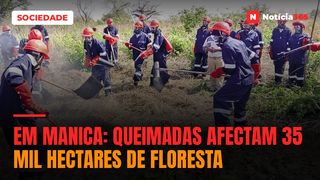 EM MANICA: Queimadas afectam 35 mil hectares de floresta