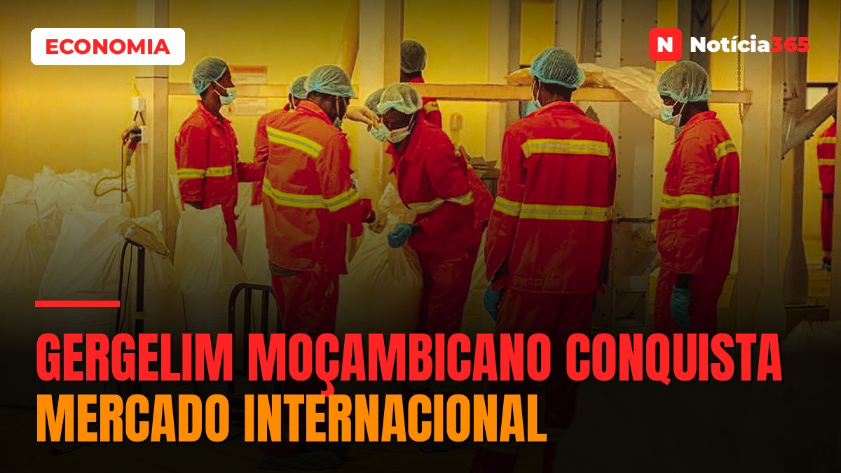 Gergelim moçambicano conquista mercado internacional