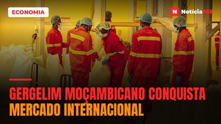 Gergelim moçambicano conquista mercado internacional