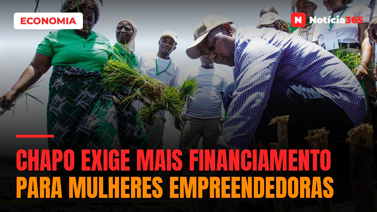 Chapo exige mais financiamento para mulheres empreendedoras