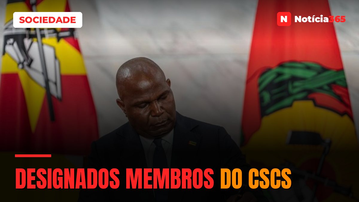 Designados membros do CSCS