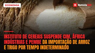 Instituto de Cereais suspende CIM, África Indústrias e Pembe da importação de arroz e trigo por tempo indeterminado