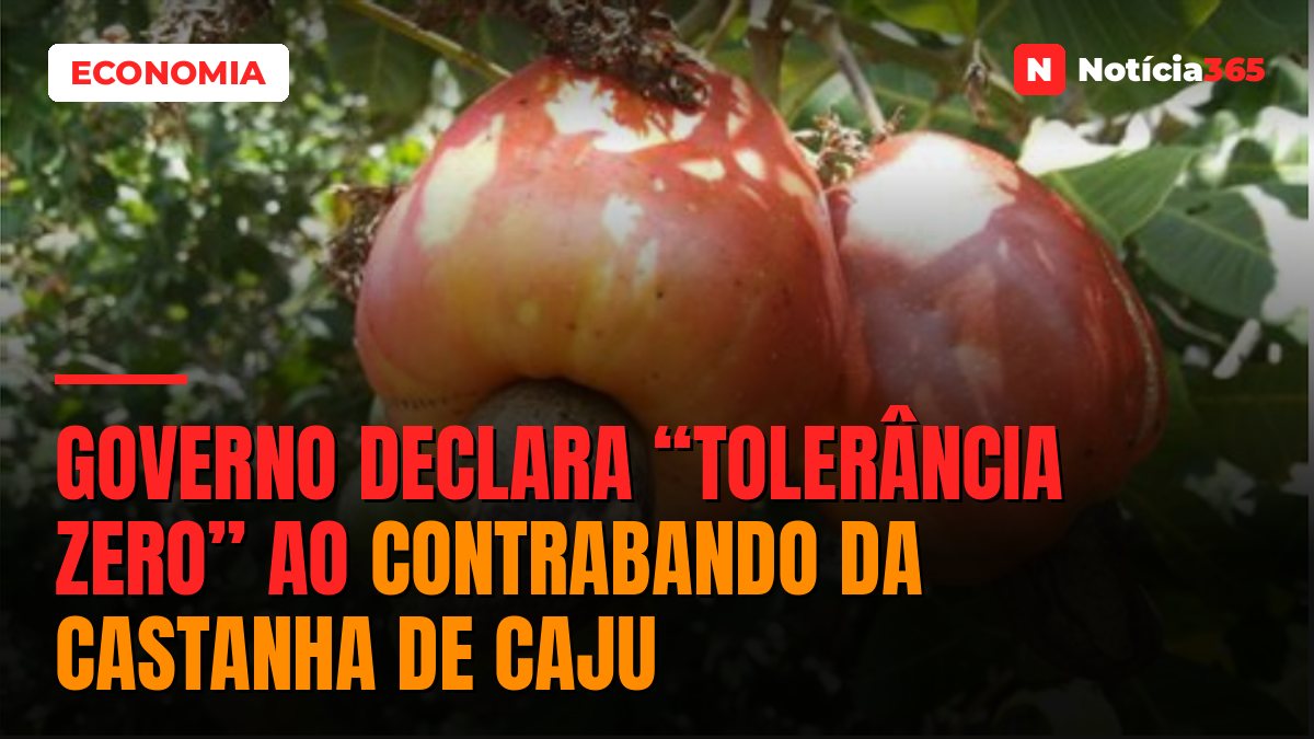 Governo declara “tolerância zero” ao contrabando da castanha de caju
