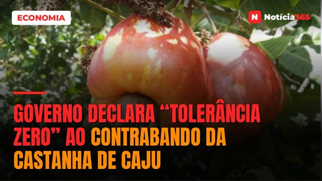 Governo declara “tolerância zero” ao contrabando da castanha de caju