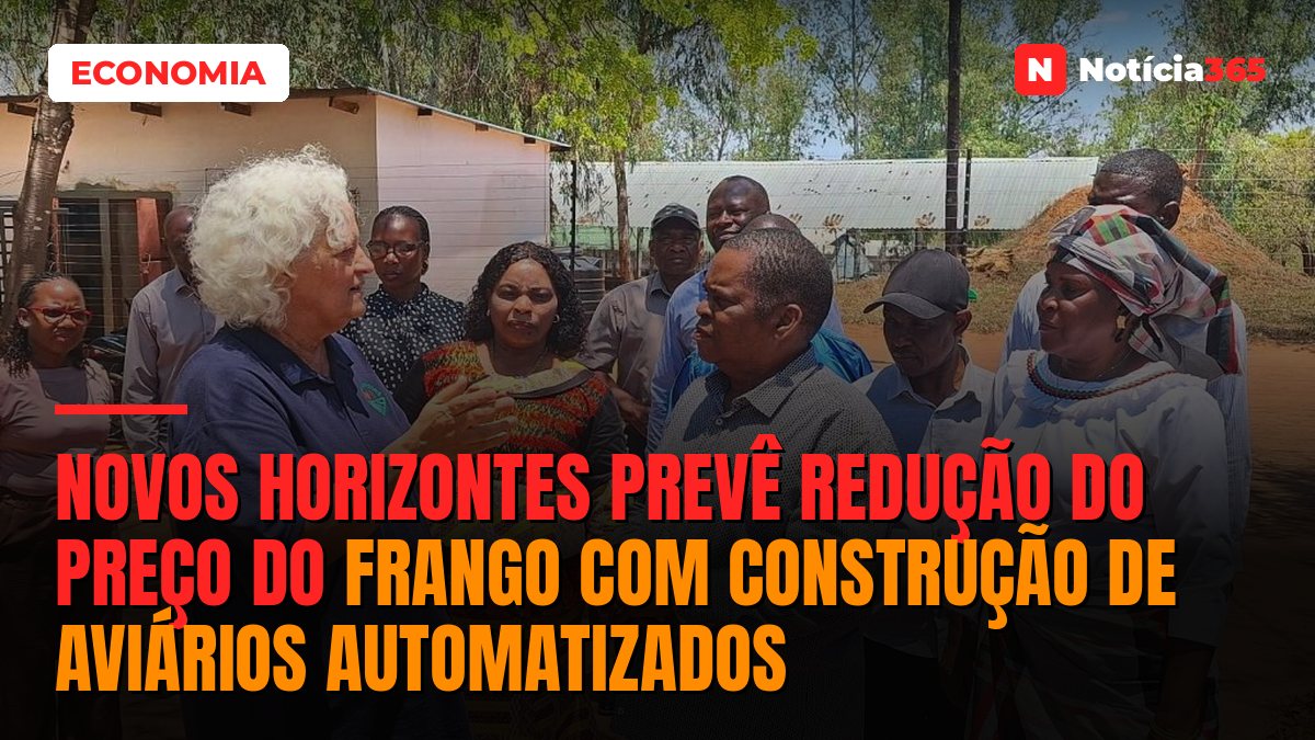 Novos Horizontes prevê redução do preço do frango com construção de aviários automatizados