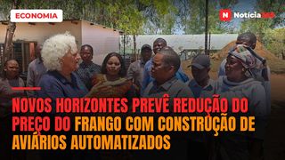 Novos Horizontes prevê redução do preço do frango com construção de aviários automatizados