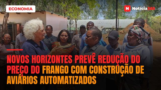 Novos Horizontes prevê redução do preço do frango com construção de aviários automatizados