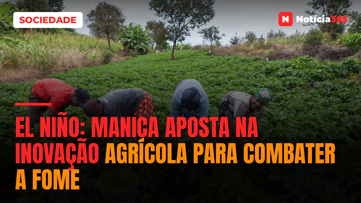 El Niño: Manica aposta na inovação agrícola para combater a fome