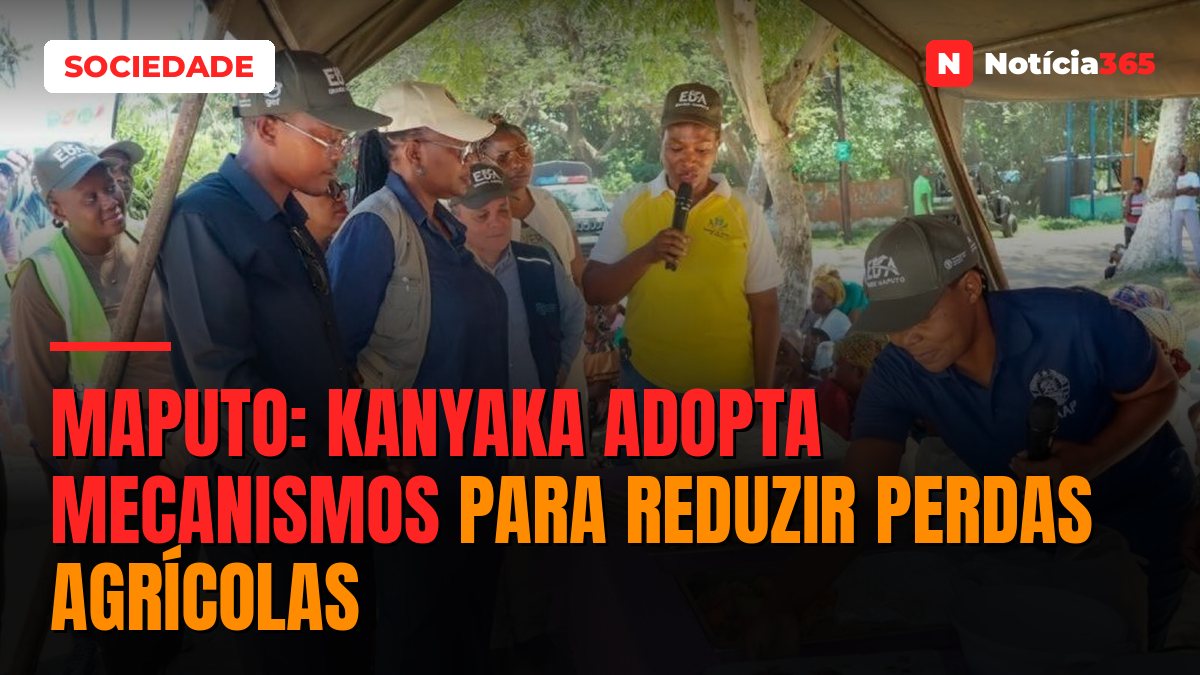 Maputo: KaNyaka adopta mecanismos para reduzir perdas agrícolas