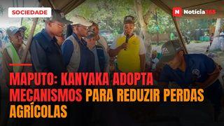 Maputo: KaNyaka adopta mecanismos para reduzir perdas agrícolas