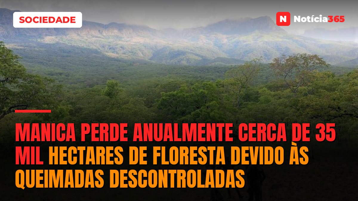 Manica perde anualmente cerca de 35 mil hectares de floresta devido às queimadas descontroladas