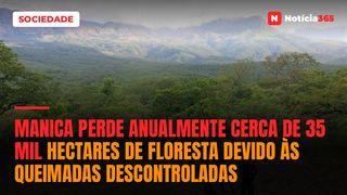 Manica perde anualmente cerca de 35 mil hectares de floresta devido às queimadas descontroladas