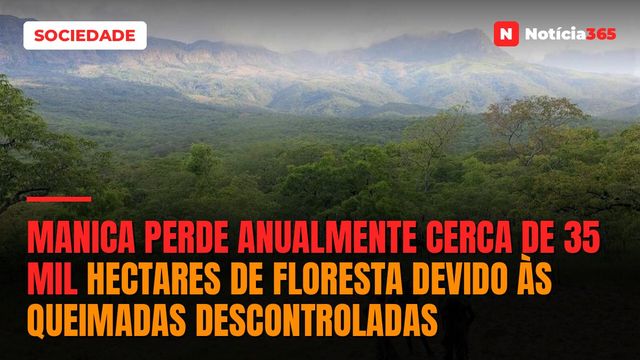 Manica perde anualmente cerca de 35 mil hectares de floresta devido às queimadas descontroladas
