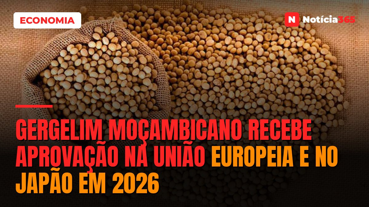 Gergelim moçambicano recebe aprovação na União Europeia e no Japão em 2026
