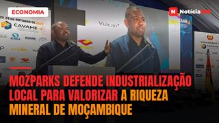 MozParks defende industrialização local para valorizar a riqueza mineral de Moçambique