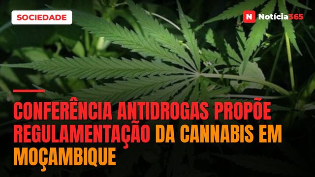 Conferência antidrogas propõe regulamentação da cannabis em Moçambique