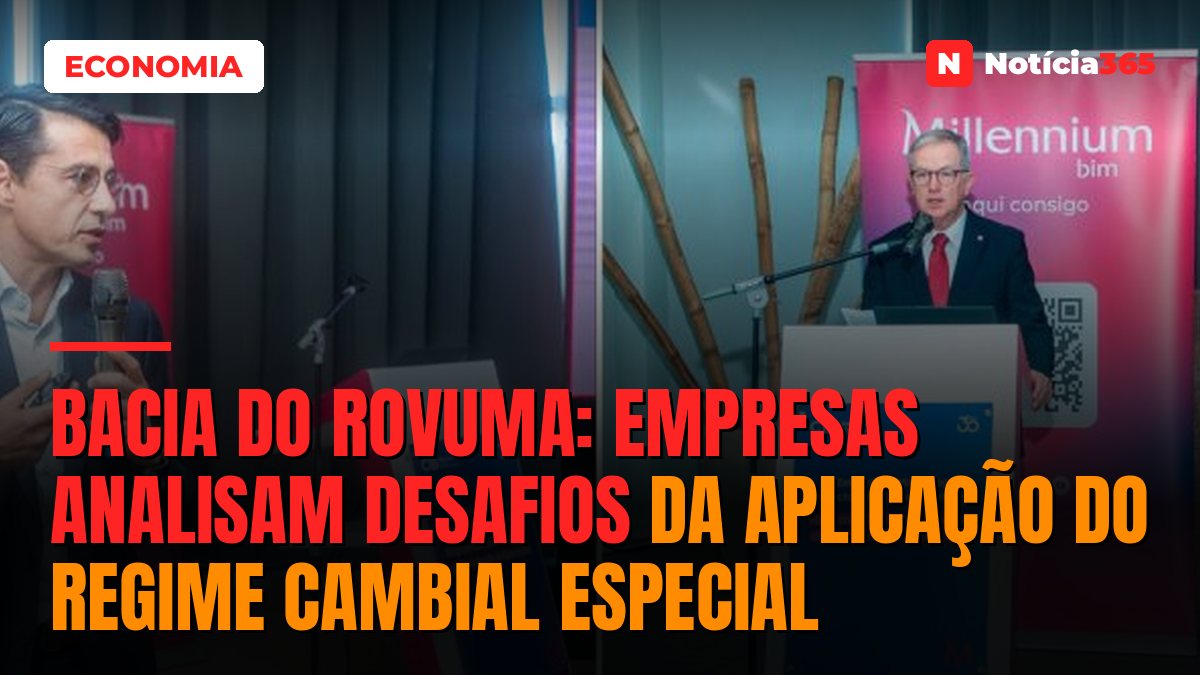 Bacia do Rovuma: Empresas analisam desafios da aplicação do regime cambial especial