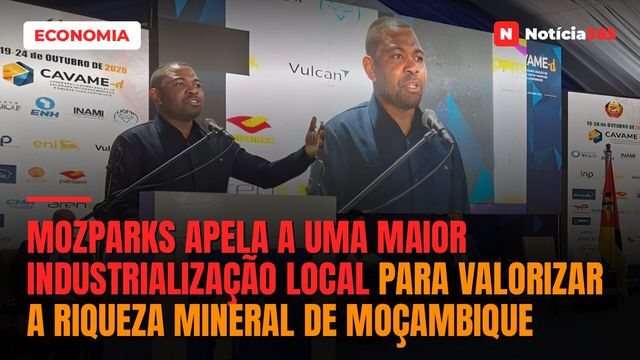 MozParks apela a uma maior industrialização local para valorizar a riqueza mineral de Moçambique