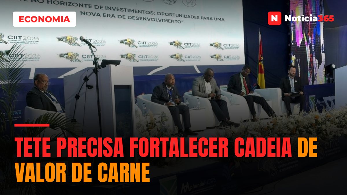 Tete precisa fortalecer cadeia de valor de carne