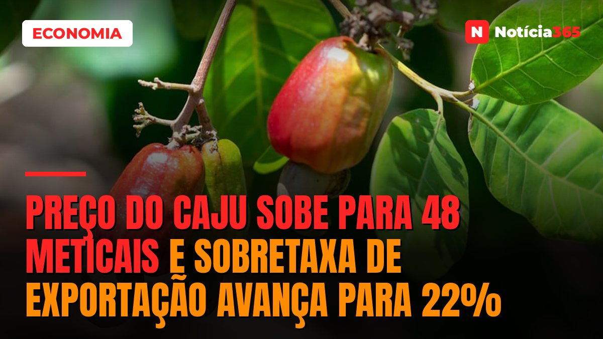 Preço do Caju Sobe Para 48 Meticais e Sobretaxa de Exportação Avança Para 22%