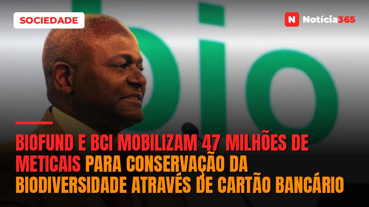 BIOFUND e BCI Mobilizam 47 Milhões de Meticais Para Conservação da Biodiversidade Através de Cartão Bancário