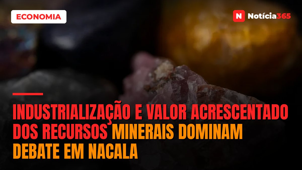 Industrialização e Valor Acrescentado dos Recursos Minerais Dominam Debate em Nacala