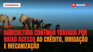 Agricultura Continua Travada Por Baixo Acesso ao Crédito, Irrigação e Mecanização