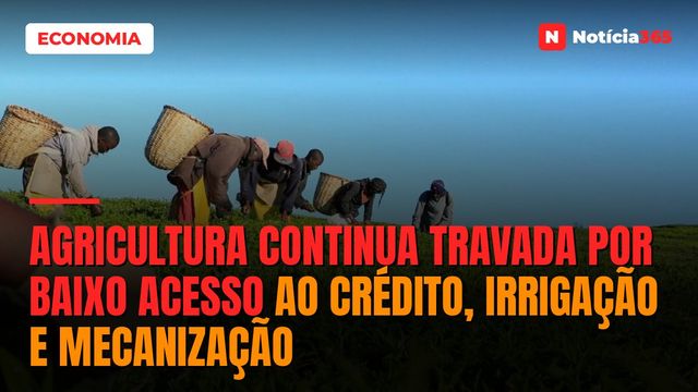 Agricultura Continua Travada Por Baixo Acesso ao Crédito, Irrigação e Mecanização