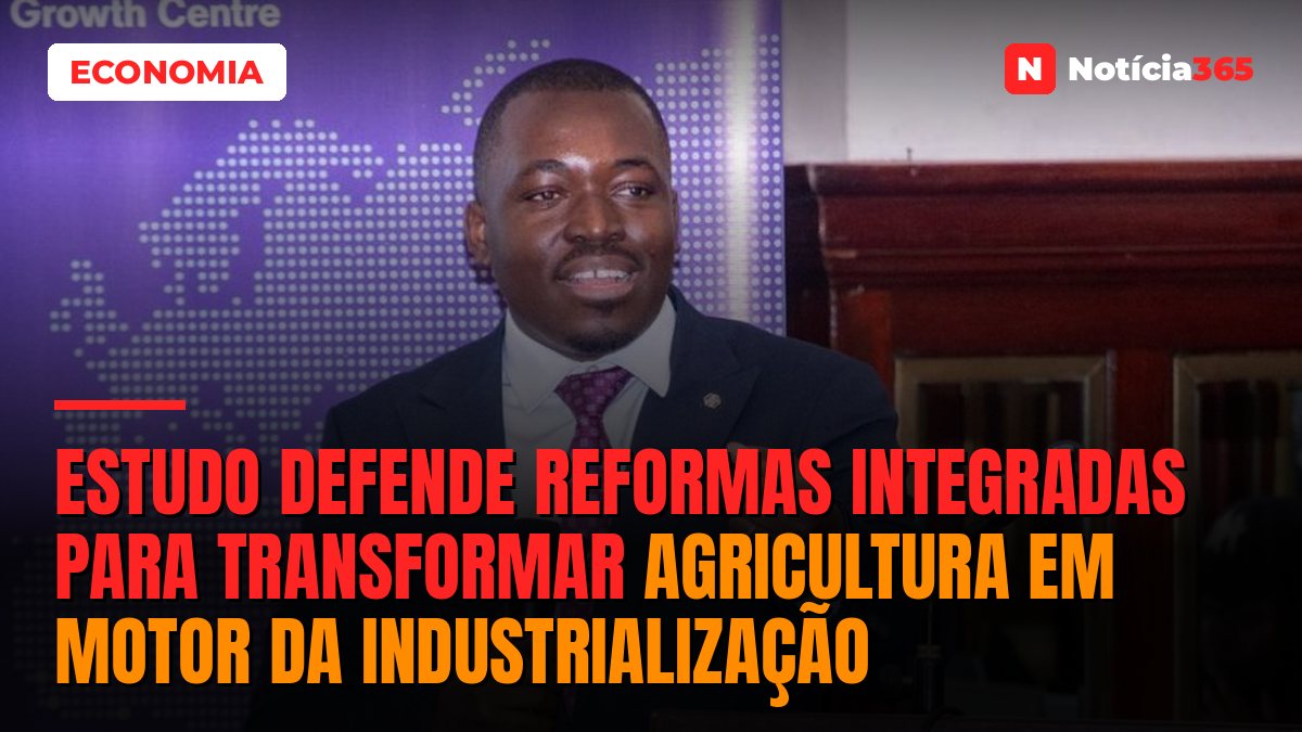 Estudo Defende Reformas Integradas Para Transformar Agricultura em Motor da Industrialização