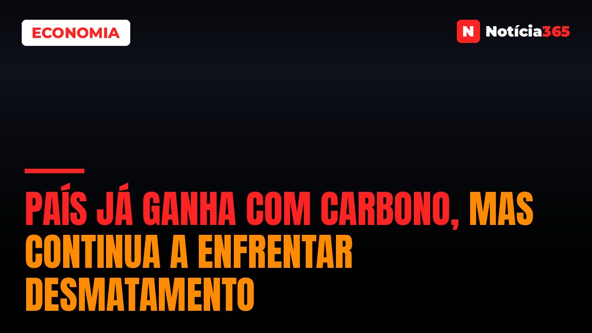 País já ganha com carbono, mas continua a enfrentar desmatamento