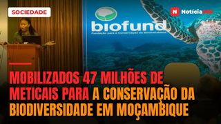 Mobilizados 47 milhões de meticais para a conservação da biodiversidade em Moçambique