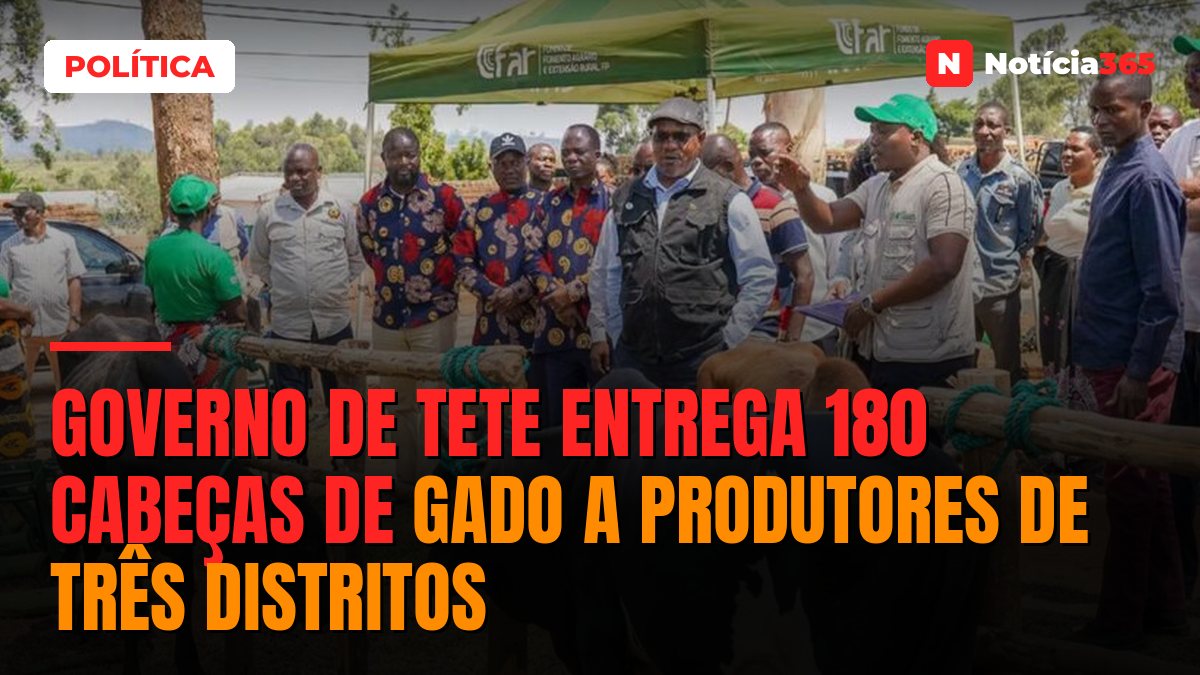 Governo de Tete entrega 180 cabeças de gado a produtores de três distritos